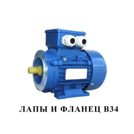 Электродвигатель АИР 100 L8 (1.5 кВт 750 об/мин) Электродвигатель АИР 100 L8 (1.5 кВт 750 об/мин)